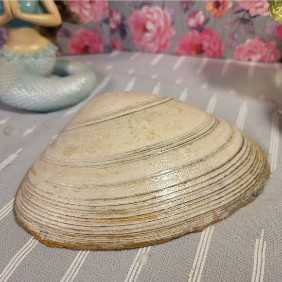 DECOUPAGE CLAM SHELL DECOUPAGE FLOWERS TRINKET DISH - Picture 10 of 10